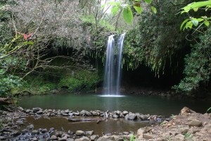 "Caveman" at Twin Falls Twin Falls