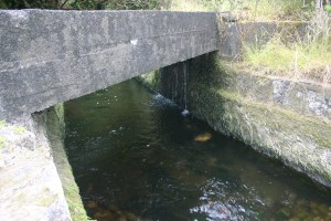 EMI Ditch System (Wailua Iki)