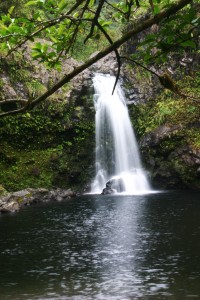 No shortage of places to cool off!