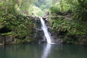 Waikamoi Stream's small waterfall is just a few steps from the road. A visitor stands at the top of the smaller falls at Waikamoi Stream on the Road to Hana, Maui, Hawaii.