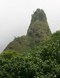 Iao Valley Phallus - Maui Guidebook Sometimes a cigar is just a cigar - but from this angle, I think we can agree we don't have a cigar here.