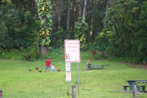 Maui Guidebook Kaumahina State Wayside on the Road to Hana, Maui Good thing the Colonel doesn't know about this place.