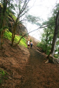 Red Sand Beach Trail, Hana, Maui, HI A couple makes their way up to the first view of the beach.