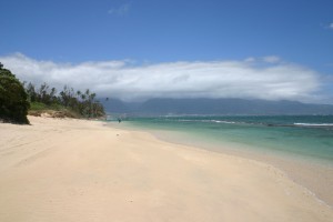 Camp One on Spreckelsville Beach, Maui, HI Somewhere along Camp One Beach