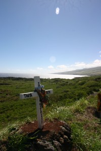 Road Cross on the Backside of Haleakala, Maui, HI Much more effective than those little orange arrows...