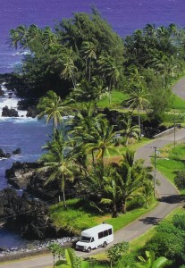 Valley-Isle-Excursions-Van-Hana The guides are extraordinary and what sets Valley Isle Excursions apart.