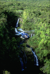 Blue Hawaiian flying at Wailua Iki on the Road to Hana