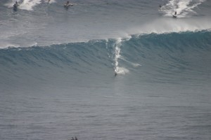 IMG 9022 300x200 Jaws photo sampling 12/7/09 raw/unsorted
