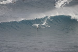IMG 9023 300x200 Jaws photo sampling 12/7/09 raw/unsorted