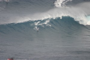 IMG 9024 300x200 Jaws photo sampling 12/7/09 raw/unsorted