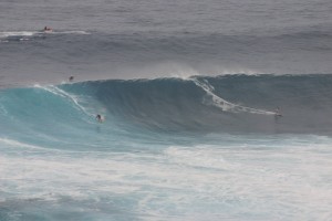 IMG 9090 300x200 Jaws photo sampling 12/7/09 raw/unsorted