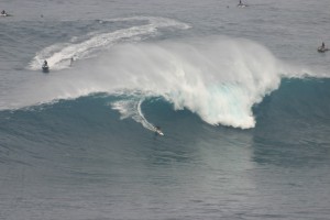 IMG 9101 300x200 Jaws photo sampling 12/7/09 raw/unsorted