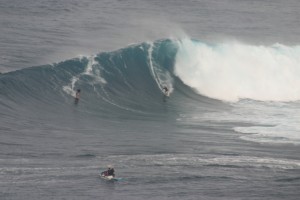 IMG 9108 300x200 Jaws photo sampling 12/7/09 raw/unsorted