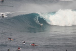 IMG 9114 300x200 Jaws photo sampling 12/7/09 raw/unsorted