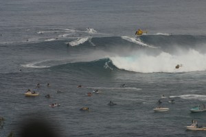 IMG 9151 300x200 Jaws photo sampling 12/7/09 raw/unsorted