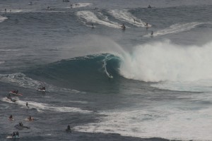 IMG 9166 300x200 Jaws photo sampling 12/7/09 raw/unsorted