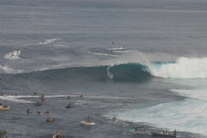 IMG 9174 300x200 Jaws photo sampling 12/7/09 raw/unsorted