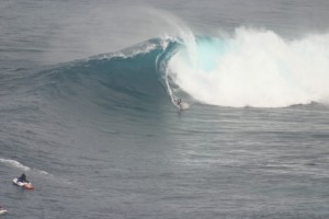 Jaws 9053 300x200 Jaws photo sampling 12/7/09 raw/unsorted