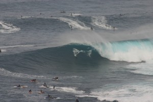 Jaws 9164 300x200 Jaws photo sampling 12/7/09 raw/unsorted