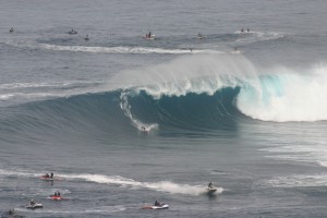 Jawsz 9067 300x200 Jaws photo sampling 12/7/09 raw/unsorted