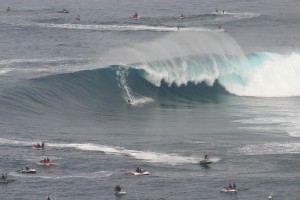 Jawsz 9068 300x200 Jaws photo sampling 12/7/09 raw/unsorted