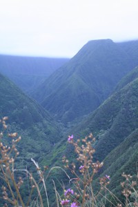 waihee-ridge-trail-valley One of the many spectacular views into Waihee Valley