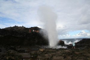 A blast from the blowhole.