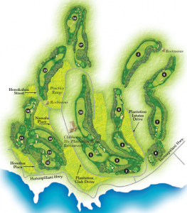 Kapalua Plantation Course Layout Course Layout (From Scorecard)<BR />click for PDF scorecard
