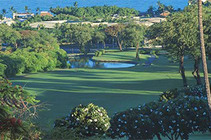 Wailea Old Blue Golf Course Beautifully landscaped