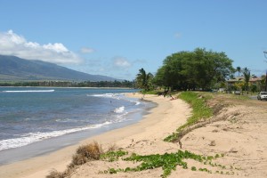 A typical stretch of beach along South Kihei Rd.