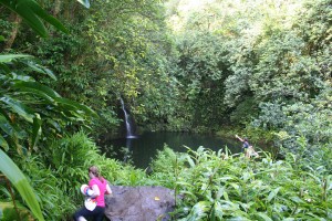 Haipuaena Falls Haipua'ena Falls