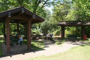 Puaa Kaa State Park Pua'a Ka'a State Wayside covered picnic tables.