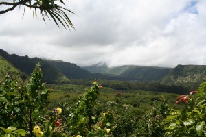 Wailua Valley view from the State Wayside
