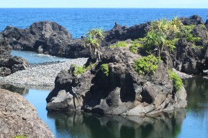Waioka Pond aka Venus Pools This hala-capped lava island, isn't always an island!