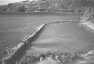 Fishpond Fishpond