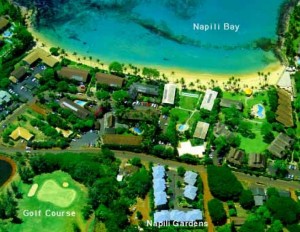 Ariel View Ariel View