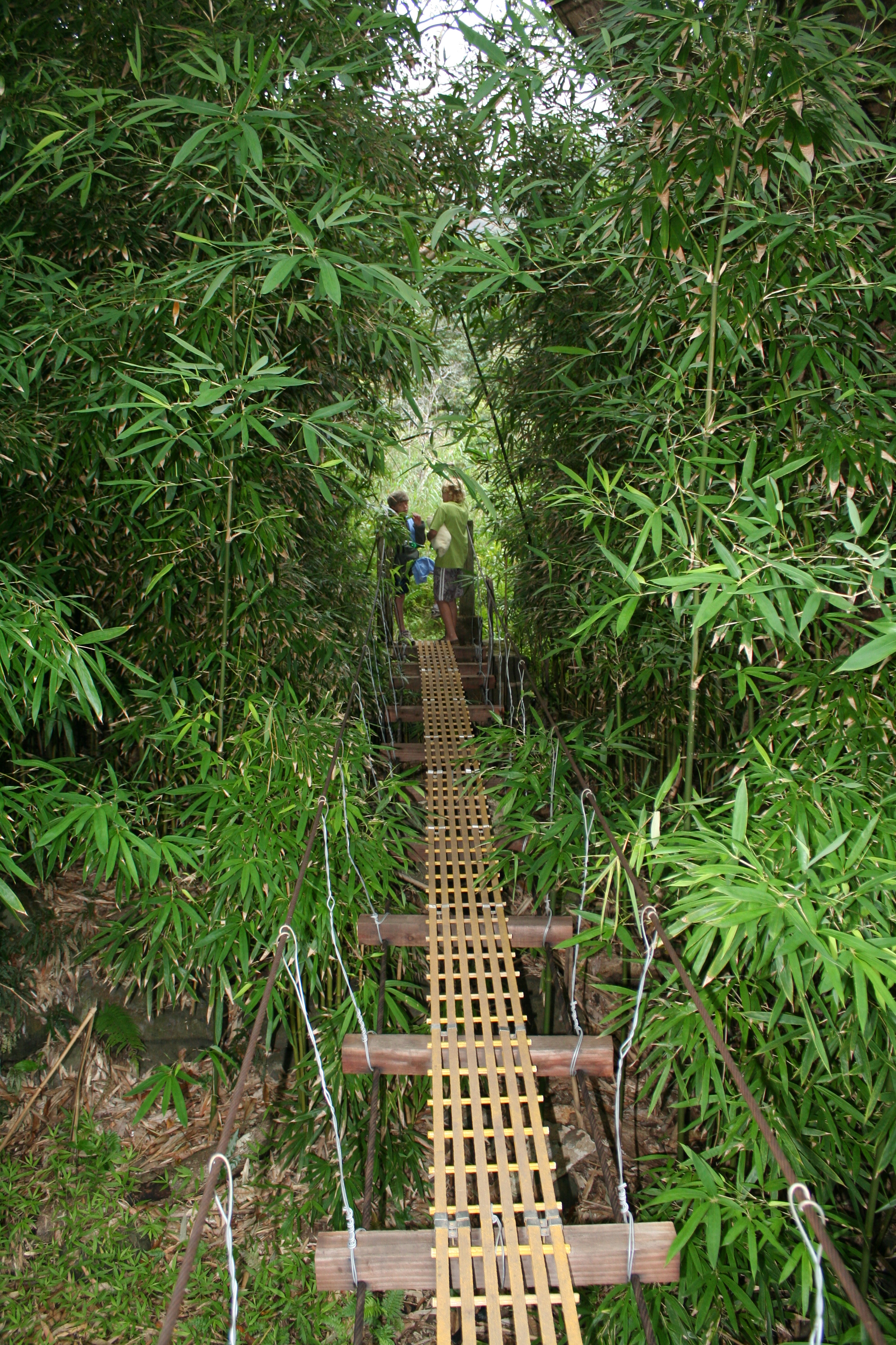 Bridge Swinging