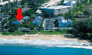 Maui Banyan A201 Maui Banyan A201