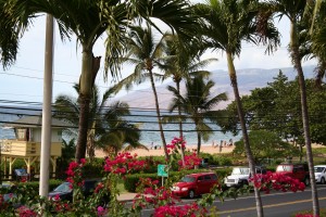 view ocean view