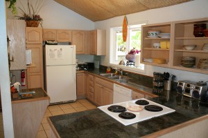 hale-palama-kitchen Kitchen