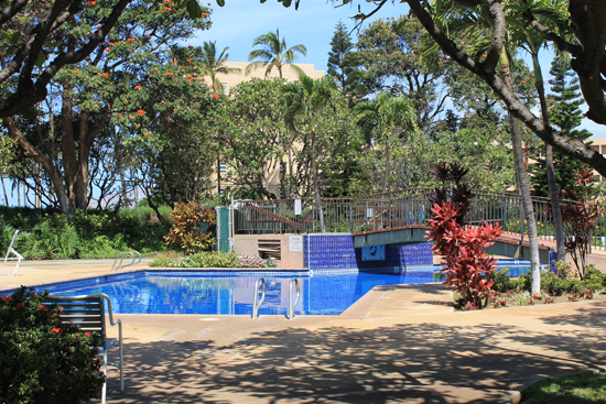 Pool Pool