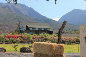 Lahaina Animal Farm & Guest Ranch Lahaina Animal Farm & Guest Ranch