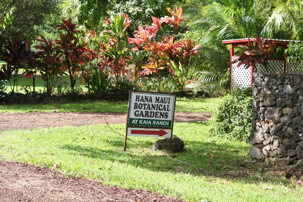 hanamauibotanicalgardensatkaiaranch Maui Guidebook