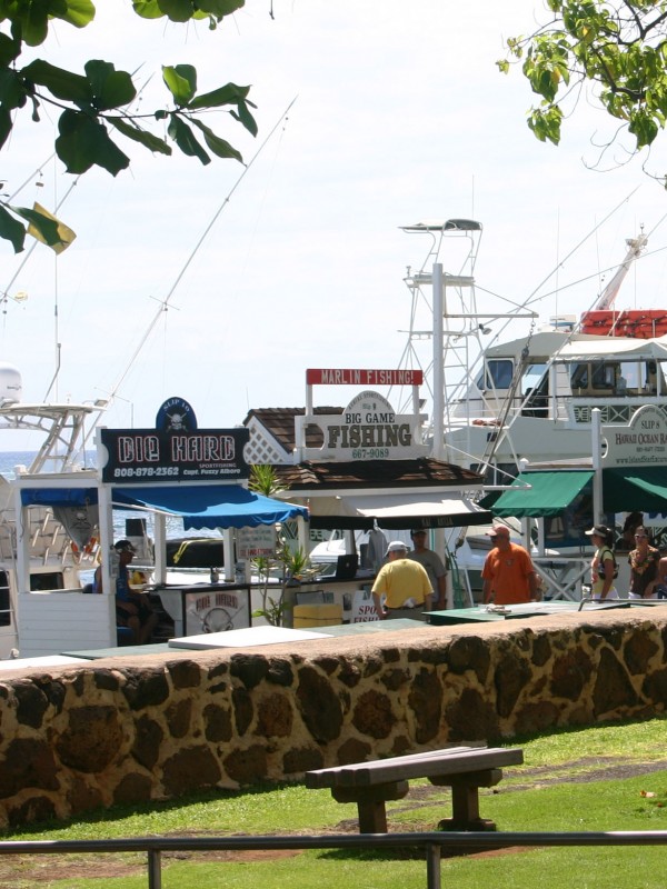 Lahaina harbor fishing boats