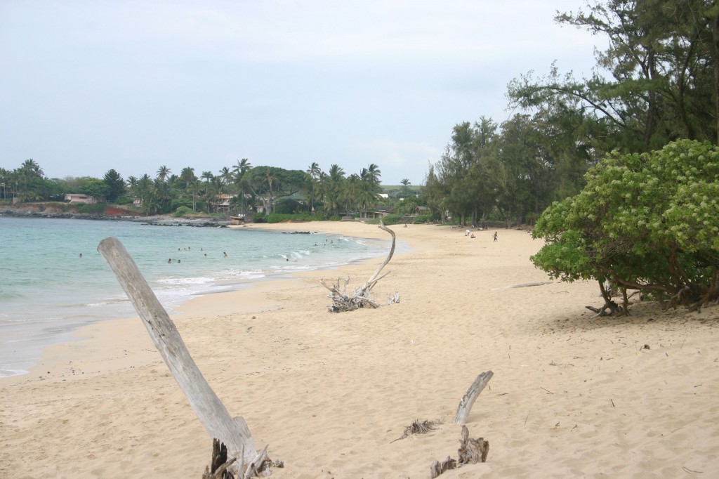 Hiking Trails Overview