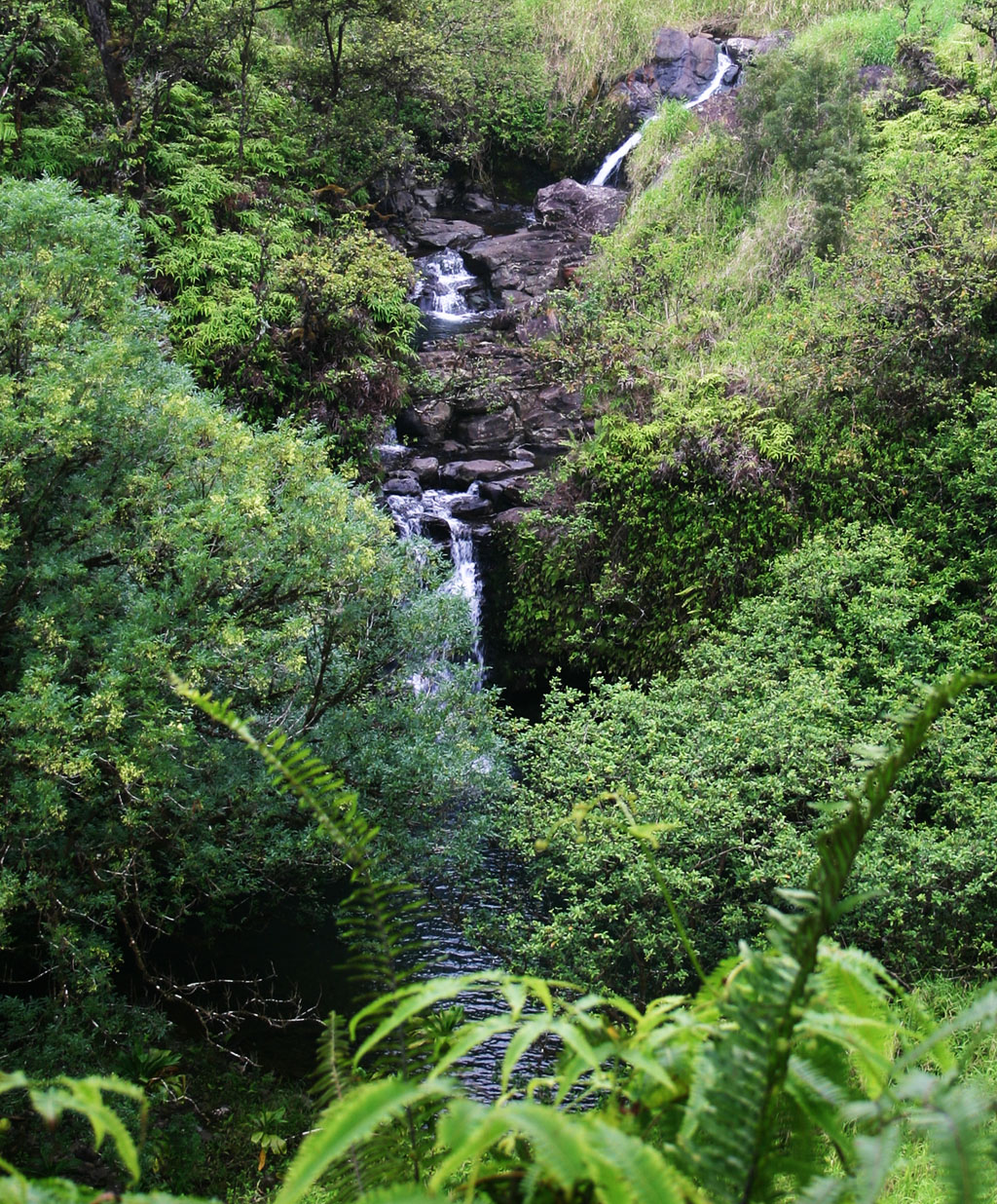 Wailuanui Stream View from EMI Road