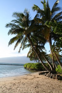 Kalepolepo Beach Park across the street.