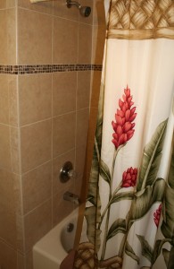 Master Bath Shower