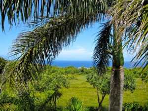 Lanai from August & Ariel Suite view