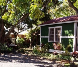 Holo House Studio Cottage